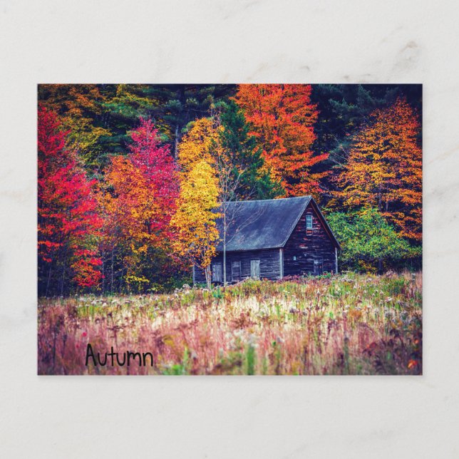 Autumn Woods Shack Postcard (Front)