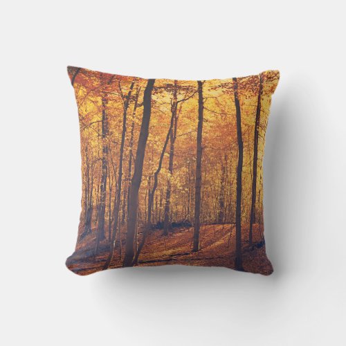 Autumn Woods Sunlit Trees Outdoor Throw Pillow