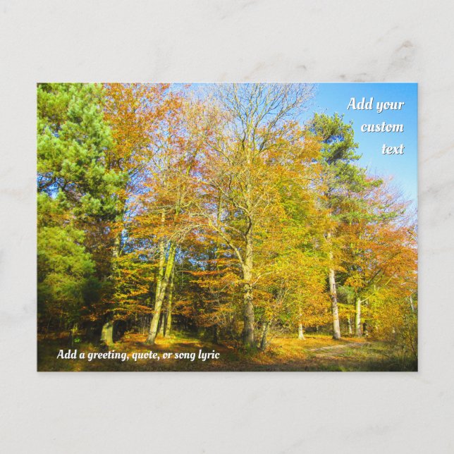 Autumn Woods & Sunshine - Personalized Postcard (Front)