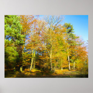Autumn Woods & Sunshine - Personalized Poster