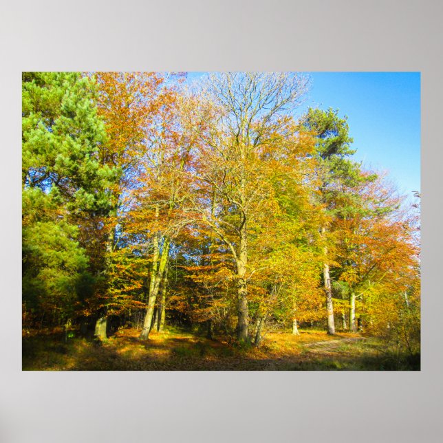 Autumn Woods & Sunshine - Personalized Poster (Front)