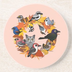 Autumn Wreath of North American Birds Sandstone Drink Coaster