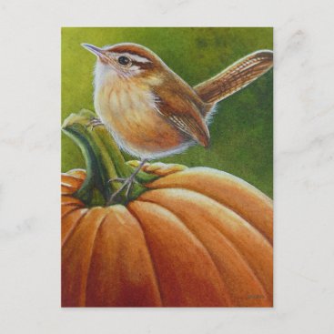 Autumn Wren Bird on Orange Pumpkin Watercolor Art Postcard