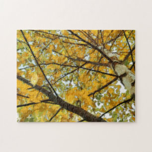 Autumn Yellow Birch Tree Photo Puzzle