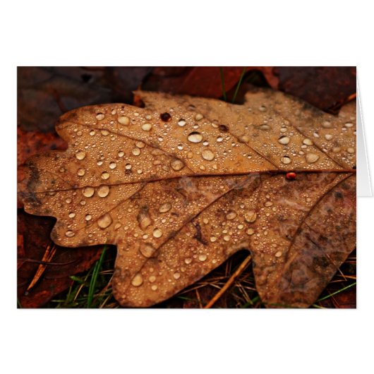 Autumn yellow leaf card (Front Horizontal)