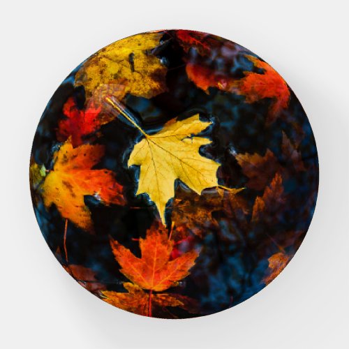 Autumn Yellow Maple Leaf Floating Paperweight