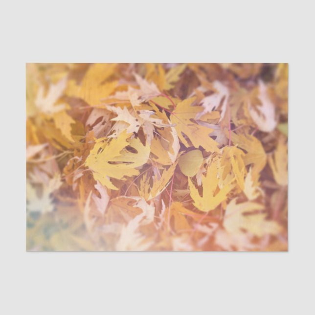 Autumn Yellow Maple Leaf Tissue Paper (Front)