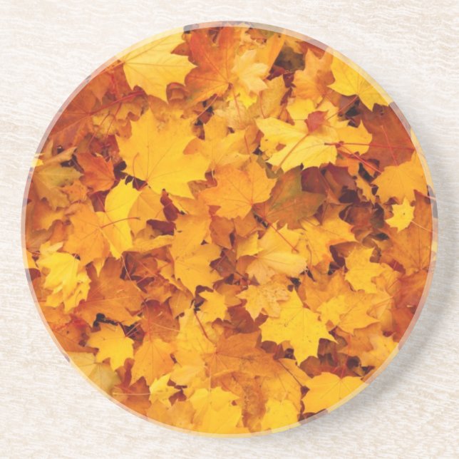 Autumn Yellow Maple Leaves Drink Coaster (Front)