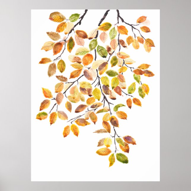 autumn yellow orange beech leaves watercolor  poster (Front)