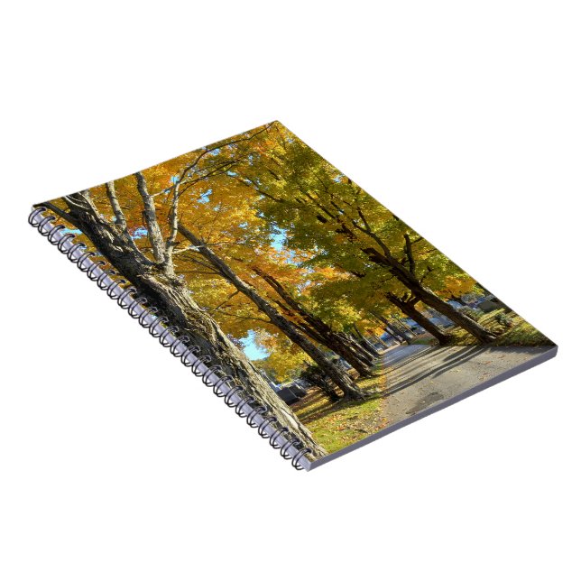 Autumn Yellow Path Spiral Notebook (Right Side)