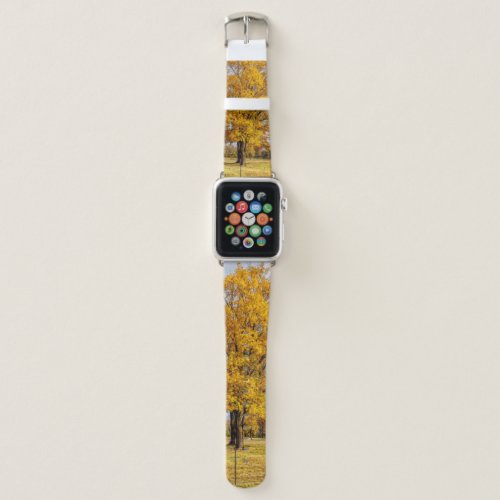 Autumn Yellow Sugar Maple Apple Watch Band