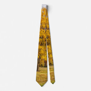 Autumn Yellow Sugar Maple Neck Tie