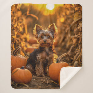 Autumn Yorkie Pup Sherpa Blanket