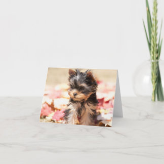Autumn Yorkie Puppy Note Card
