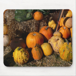 autumnal abundance mouse pad