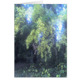 autumnal change cards