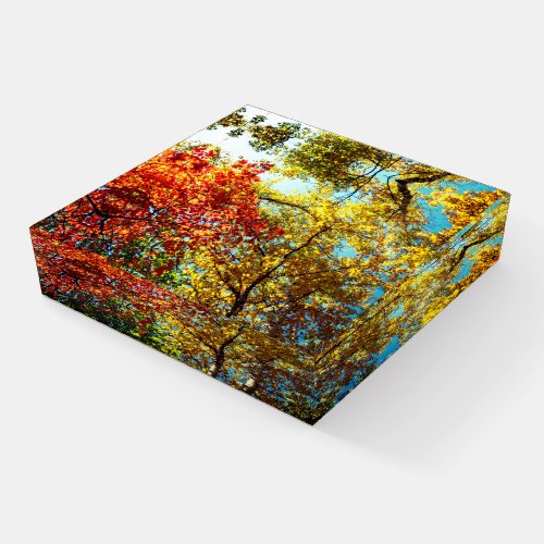 Autumnal Chaos of Colors Paperweight