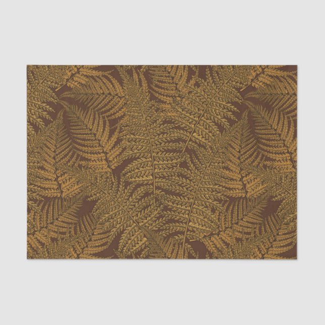 Autumnal fern on brown tissue paper (Front)