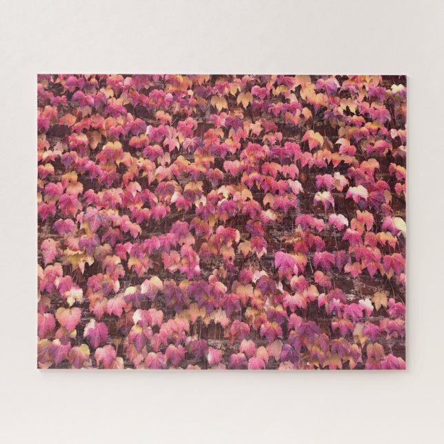 autumnal ivy jigsaw puzzle (Horizontal)