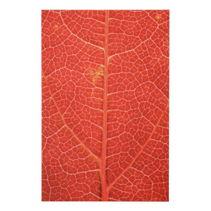 Autumnal Leaf Faux Canvas Print