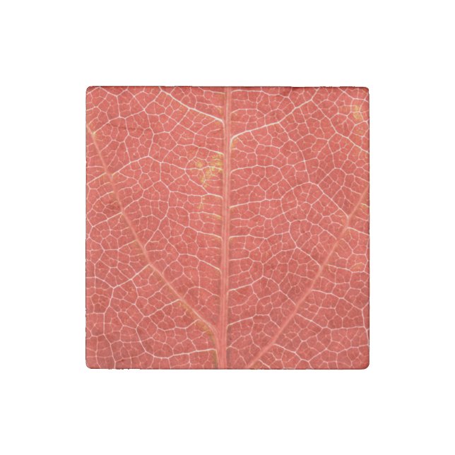 Autumnal Leaf Stone Magnet (Front)