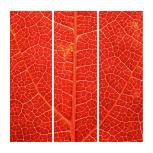 Autumnal Leaf Triptych