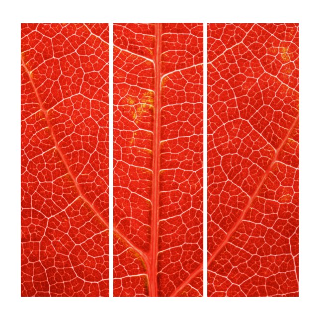 Autumnal Leaf Triptych (Front)