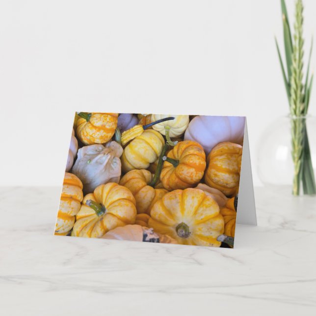 Autumnal pumpkins and gourds card (Front)
