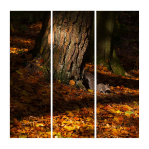 Autumnal scene with golden leaves and squirrel triptych