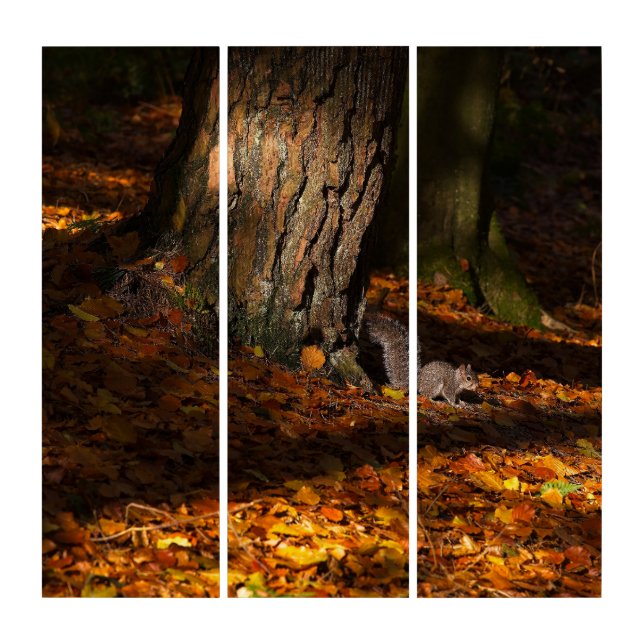 Autumnal scene with golden leaves and squirrel  triptych (Front)