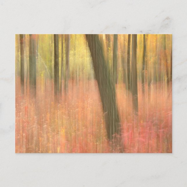 autumnal scenic abstract postcard (Front)