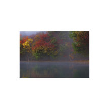 Autumnal (Twilight)