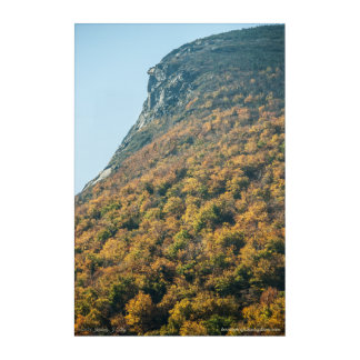 Autumn's Blanket Acrylic Print