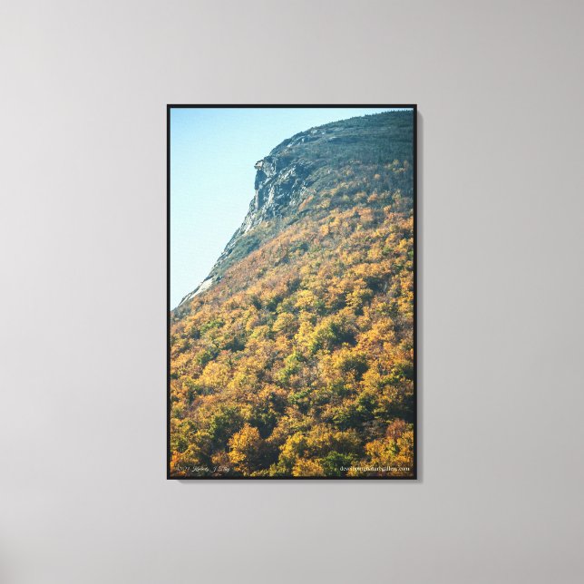 Autumn's Blanket Canvas Print (Front)