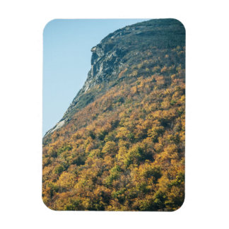 Autumn's Blanket Magnet