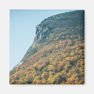 Autumn's Blanket Magnet