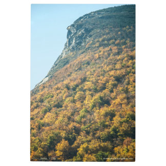 Autumn's Blanket Metal Print