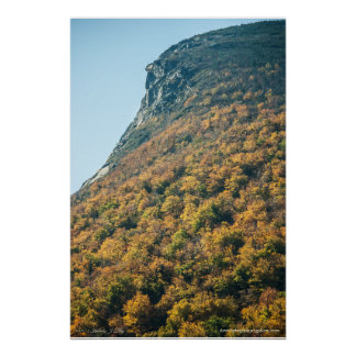 Autumn's Blanket Poster