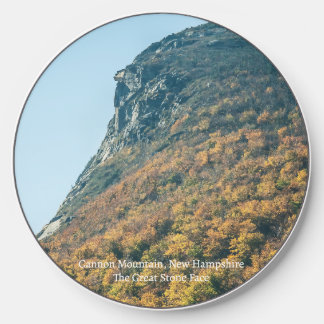 Autumn's Blanket Wireless Charger