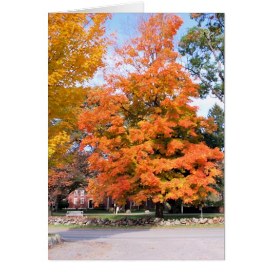 AUTUMN'S GLEAM CARDS (Front)