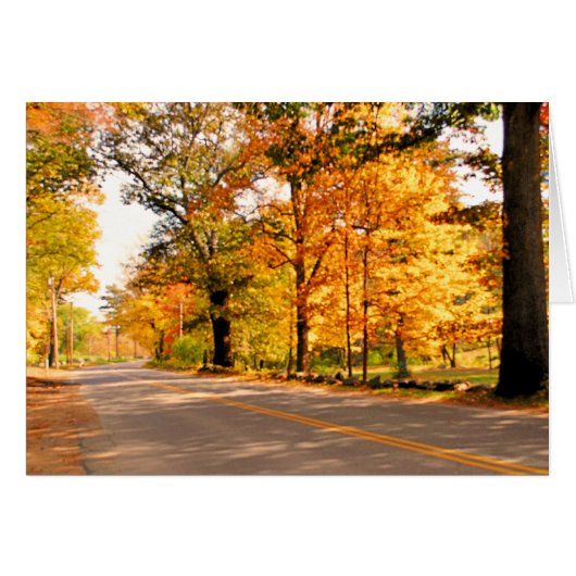 AUTUMNS GLEAM CARDS (Front Horizontal)