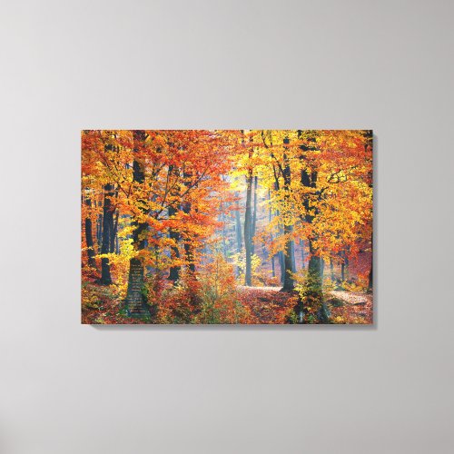 Autumns Gorgeous Leaves Canvas Print