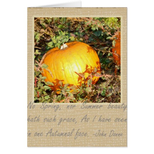 Autumn's Grace Cards (Front)