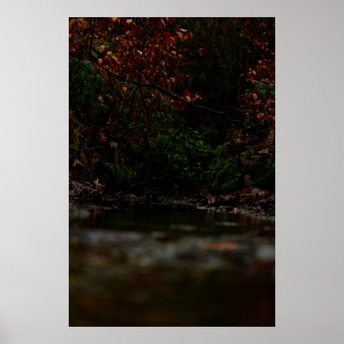 Autumns Harmony_ Tranquil Pond in a Forest Poster