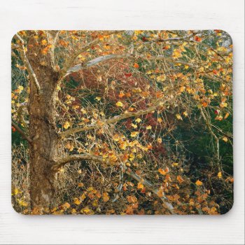 Autumns Last Blow Out Mouse Pad by WackemArt at Zazzle