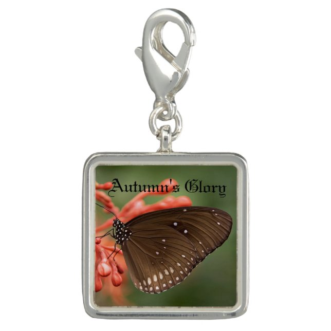 Autumn's Magic Series Butterfly Charm (Front)