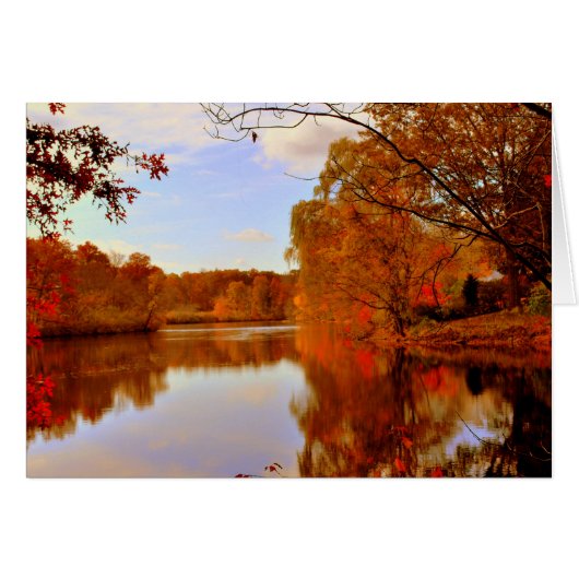 AUTUMNS ORANGE GLOW CARDS (Front Horizontal)