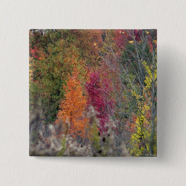 Autumn's Palette Button (Front)
