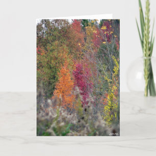 Autumn's Palette Card