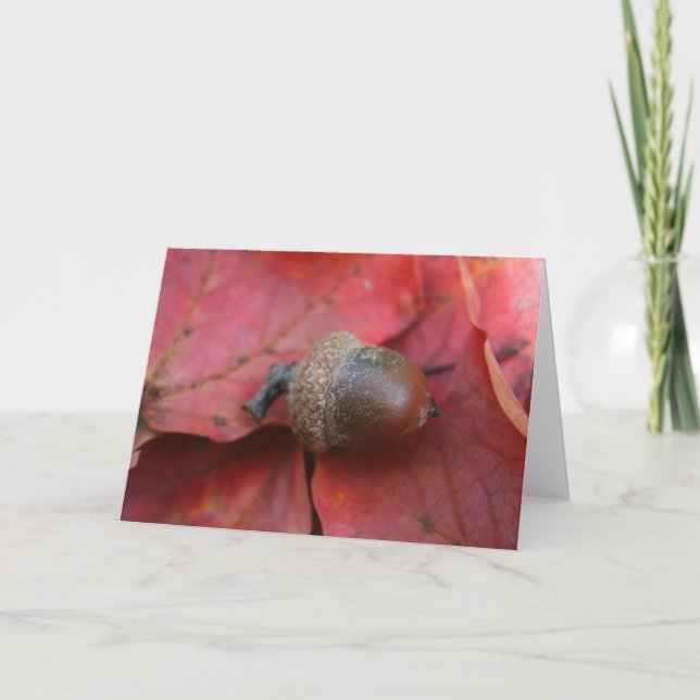 AUTUMNS PROMISE CARD (Front)